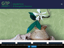 Tablet Screenshot of gtpparati.com